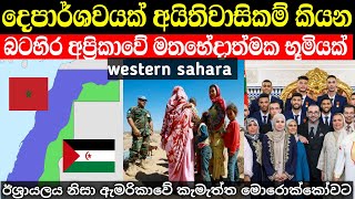 අයිතිකරුවන් දෙදෙනෙක් සිටින බටහිර සහරාව ගැන මේ දේවල් දන්නවද  western sahara in sinhala [upl. by Anairam]