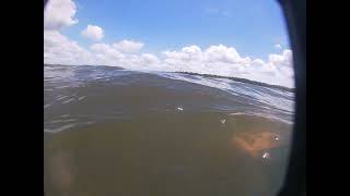 25 me swim Hogtown Bayou Dolphins Circle play it almost runs me over1 [upl. by Radferd508]