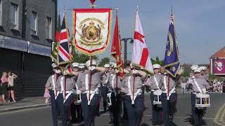 Upper Bann Fusiliers  South Belfast Protestant Boys 2024 [upl. by Mitchell]