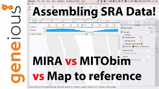 Map to reference and MIRA assembly of mitogenomes in Geneious Part 5 [upl. by Norrehs713]