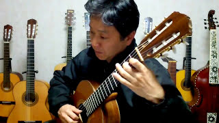 SgtPeppers lonely hearts club band Beatles fingerstyle guitar [upl. by Anela397]