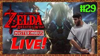 Zelda BOTW Master Modus Live Part 29 [upl. by Rebmak]