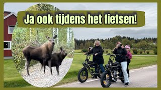 Wonen in Zweden 🇸🇪 Ga toch fietsen 🫎 [upl. by Daph20]