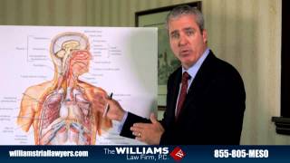 How Does a Person Get Pleural Mesothelioma  Attorney Joe Williams [upl. by Gay611]