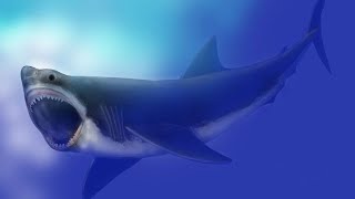 DOCUMENTAIRE HD 2024  Mégalodon le requin géant [upl. by Ahsinej491]