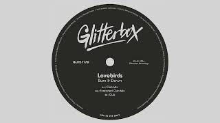 Lovebirds  Burn It Down Extended Club Mix [upl. by Mikal706]