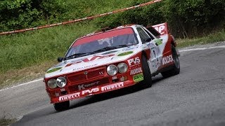 10° Rally Storico Campagnolo 2014 [upl. by Atirys]