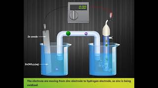 Standard Hydrogen Electrode  Construction amp Working  LearnEngg chemistry [upl. by Frankie]