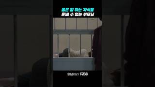 옳은 일 하는 자식을 혼낼 수 없는 부모 응답하라1988 응답하라1988명장면 [upl. by Aire752]