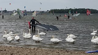 Mens en Zwaan Telstar Surfclub Beach Ermelo Strand Horst zo 16 Juli 2023 [upl. by Menis187]