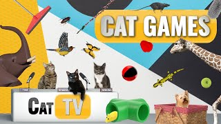 CAT Games  Ultimate Cat TV Compilation Vol 31  2 HOURS 🐝🐞🦋🦎🦜🐜🐭🧵 [upl. by Iam]