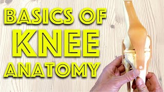 Anatomy of the Knee Joint  Basic Clinical Anatomy Revision  Dr Gill [upl. by Kalila]