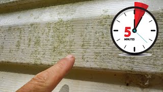 Cleaning House Siding Mold and Algae in Five Minutes [upl. by Heman]