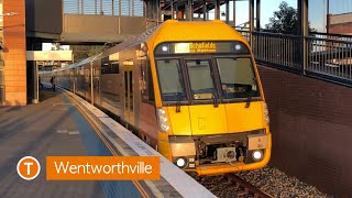 Transport for Sydney Vlog 79 Wentworthville [upl. by Nagol]