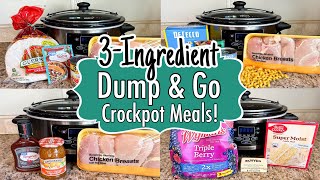 6 DUMP amp GO CROCKPOT DINNERS  The BEST Quick amp EASY 3INGREDIENT Slow Cooker Meals  Julia Pacheco [upl. by Gerda]