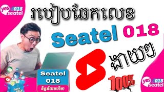 How to Check Seatel Number Seatel018  របៀបឆែកលេខស៊ីថែល 018  VTUBE SKH [upl. by Esiom]