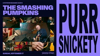 Purr Snickety Smashing Pumpkins Live from Madame Zuzus [upl. by Neerbas679]