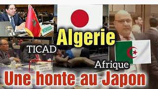 LAlgérie au Japon  TICAD  Une honte pour une Afrique à la recherche du développement à Tokyo [upl. by Bonnee]