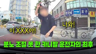 23174회 신호에 따라 좌회전하고 있는데 직진 차로에서 끼어들던 카니발 오히려 적반하장 화를 내던 카니발 운전자의 최후 [upl. by Nolahp]