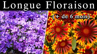 7 Plantes Vivaces Facile pour son Jardin Beaucoup de Fleurs [upl. by Margalit]