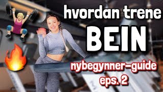 Nybegynner Styrketrening 2 BEIN  hvordan trene bein [upl. by Atwood]