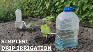 The EASIEST DRIP IRRIGATION DIY in a FEW MINUTES [upl. by Johppa]