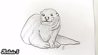 Cómo dibujar una NUTRIA  How to draw an OTTER [upl. by Ordnajela]