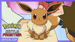 Eevee Hatches  Pokémon Battle Frontier  Official Clip [upl. by Oicirtap]