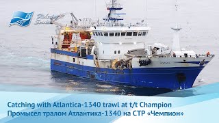 Herring fishing aboard of RSWtrawler Champion  Промысел сельди на борту СТР Чемпион [upl. by Sheng]