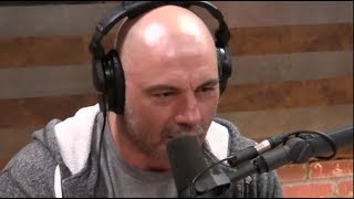 Joe Rogan  Everything is Connected [upl. by Tiduj]