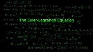 The Euler Lagrange Equation [upl. by Ennaus]