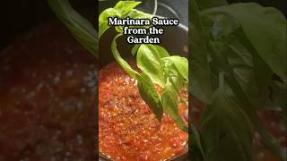 Easiest marinara sauce from scratch garden gardening homemade [upl. by Anela327]