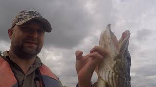 FlyFishing for Pike  Foremark Reservoir Derbyshire [upl. by Nahpets373]