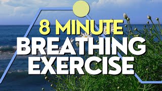 8 Minute Breathing Exercise for Anxiety [upl. by Aissak812]