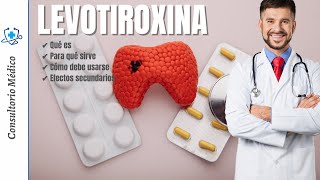 Levotiroxina Sódica Synthroid Euthyrox Puran T4 Principais informações [upl. by Ahsennek]