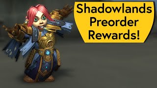 Are the Shadowlands Preorder Rewards Worth It Editions Value and Bonuses [upl. by Elyl]