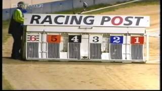 Top Savings  Racing Post Juvenile Championship 2002 [upl. by Ainollopa]