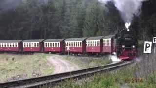 Harz Mountain Steam Railway Germany [upl. by Atinehc]