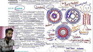 Animal Kingdom detailed NCERT line by line explanationPart 1 [upl. by Damian]