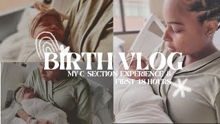 BIRTH VLOG  Scheduled CSection  First 48 hours with baby 3  What to expect for a CSection [upl. by Xed]