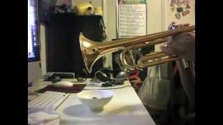 Sarias Song Legend of Zelda on Trumpet [upl. by Odlonyer702]