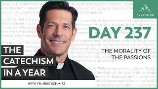 Day 237 The Morality of the Passions — The Catechism in a Year with Fr Mike Schmitz [upl. by Reyotal]