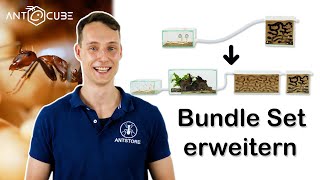 ANTCUBE Erweiterung für Camponotus nicobarensis Bundle Offer [upl. by Ygief680]