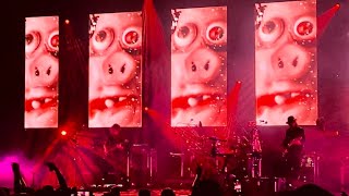 Primus  My Name Is Mud Live RichmondVA  Virginia Credit Union LIVE 81624 [upl. by Ahiel]