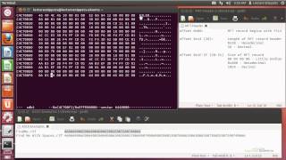 Ubuntu 1204 Forensics  MFT Searching and Header Information [upl. by Edson]