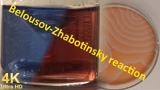 Everything about the Belousov Zhabotinsky reaction [upl. by Nerad]