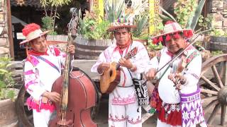 HUICHOLES EN ROSARITO [upl. by Pavier]