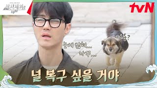 막상 떠나려니 눈에 밟히는 귀염둥이 복구💚 삼시세끼Light EP4  tvN 241011 방송 [upl. by Eras]