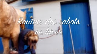 ROUTINE DES SABOTS EN HIVER ❄ [upl. by Yecad]