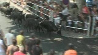 100 taureaux dans les rues de Lunel [upl. by Atnahs326]